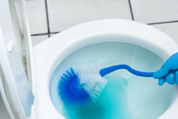 Solfless Válvulas anti-retorno malos olores baño